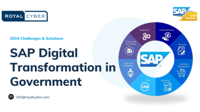 sap-digital-transformation-in-government:-2025-challenges-&-solutions